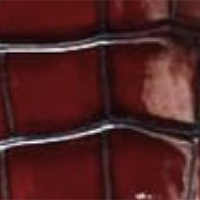 CROCODILE SKIN Bordo