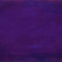 PATINA Purple